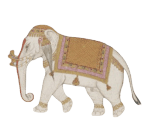 Royal white elephant