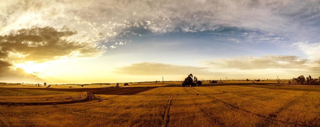 Beauty of North Indian winte