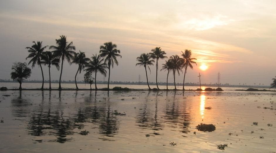 The sunset view of backwaters