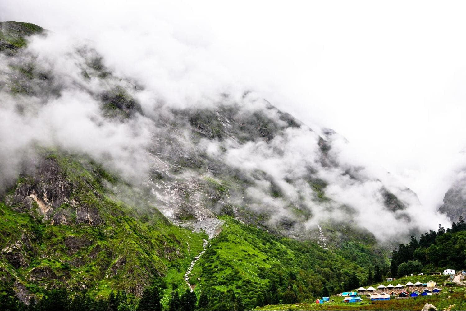 Misty Mountains beside Ghangaria Camp Side