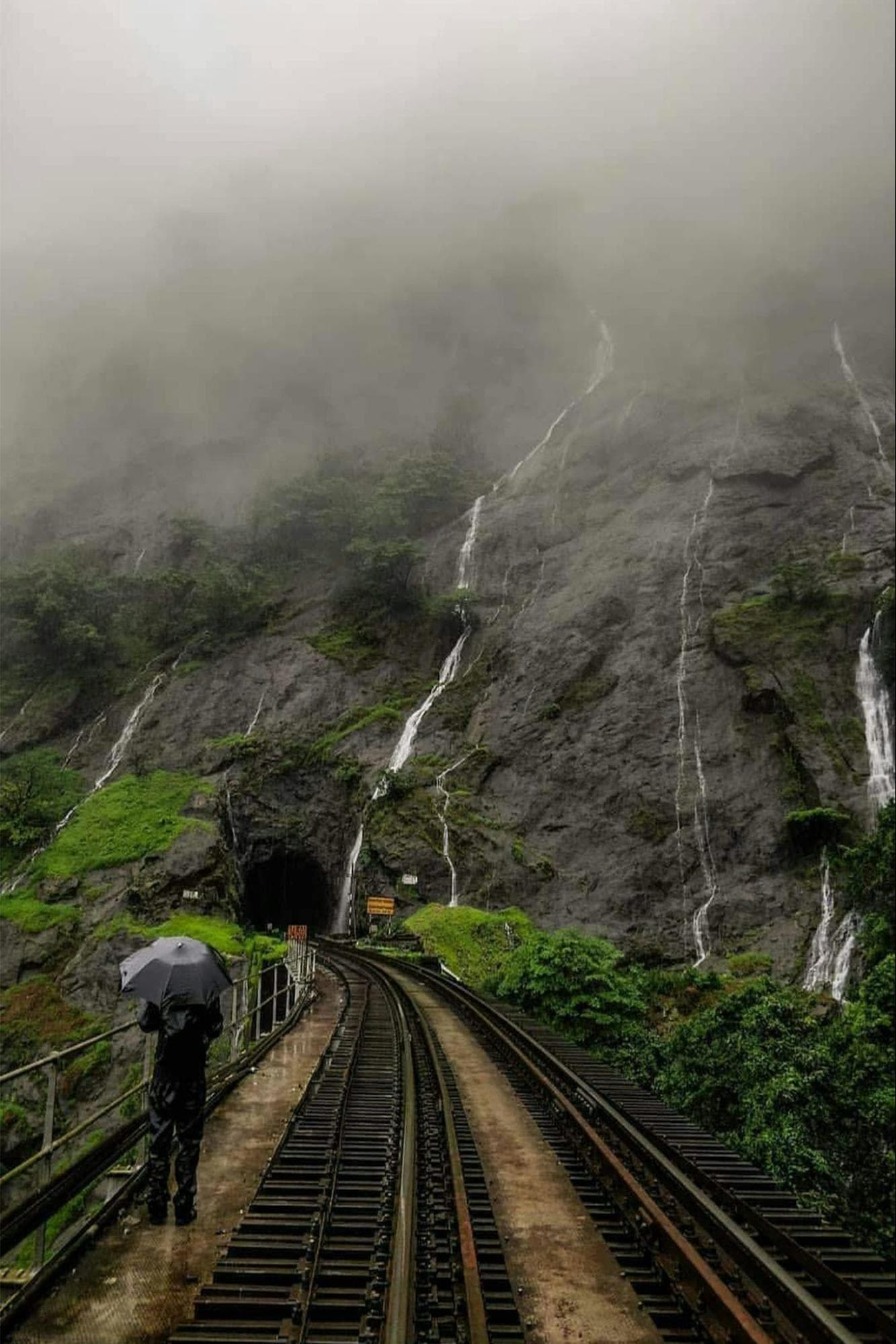Dudhsagar waterfalls in Goa