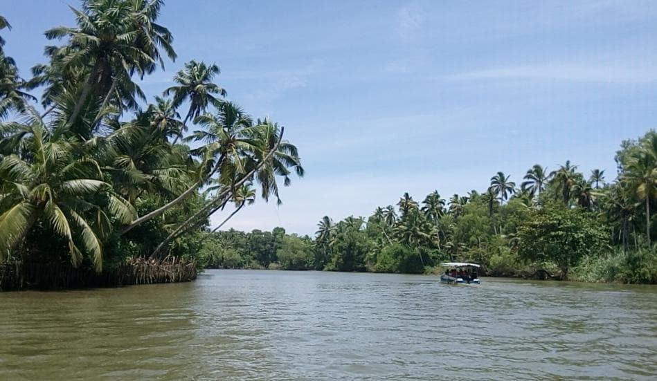 The scenic beauty you get to see from your houseboat
