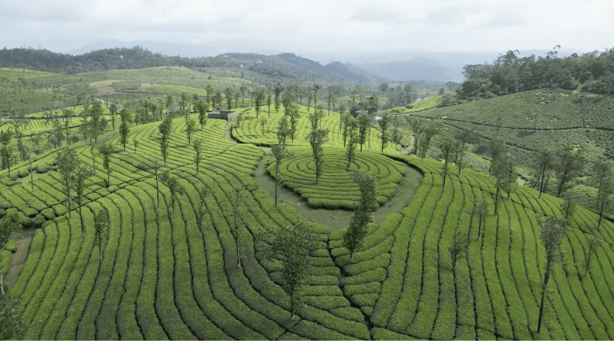 Munnar